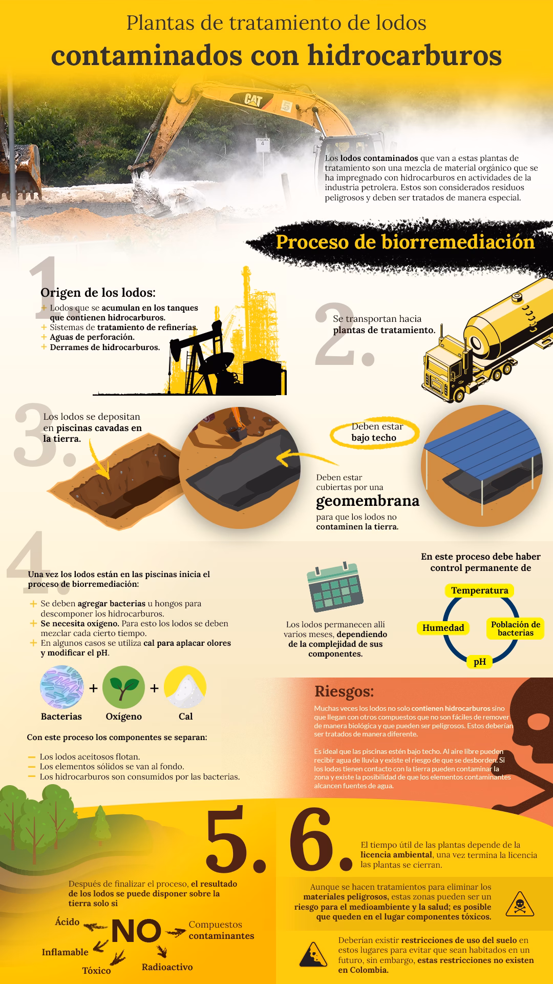 ¿Cuáles son los componentes del petróleo?