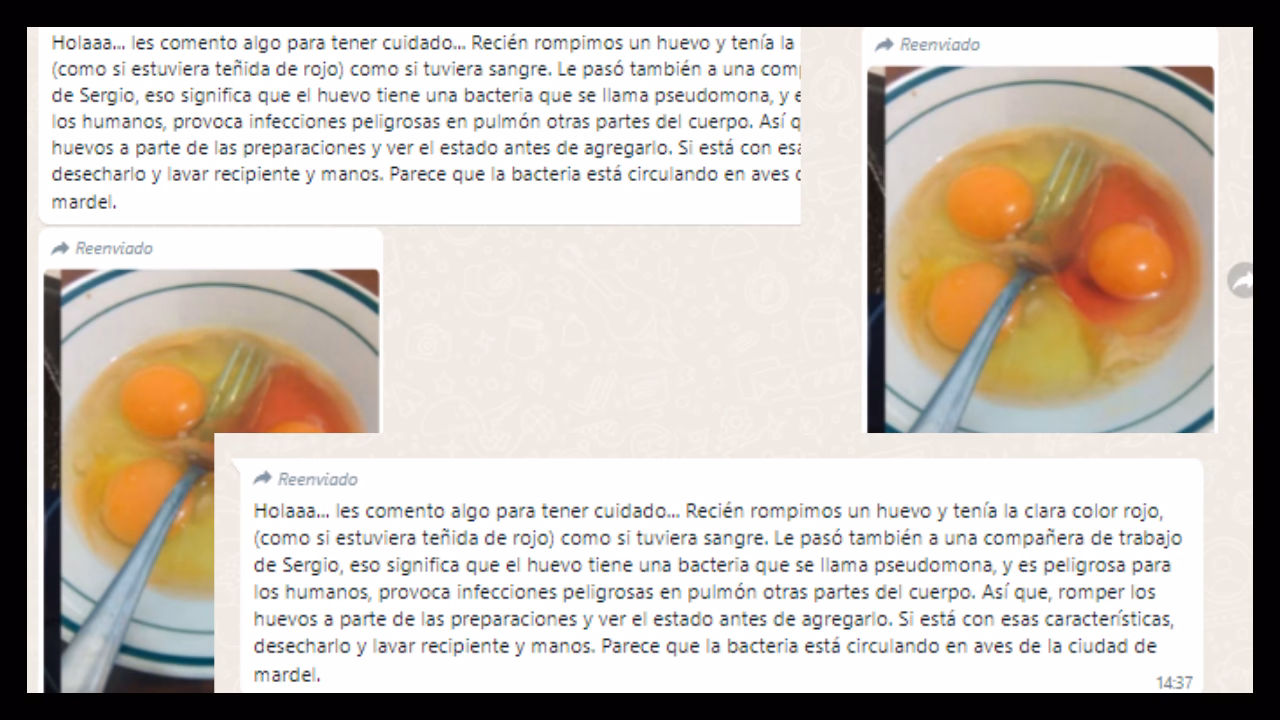 ¿Cuáles son los efectos negativos de la producción de huevos?