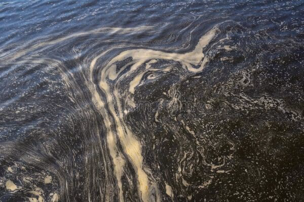 ¿Qué se busca reducir o eliminar en los efluentes industriales?