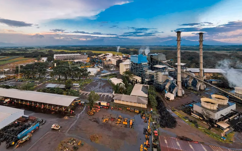 ¿Qué pasó con los ingenios azucareros en Tucumán?