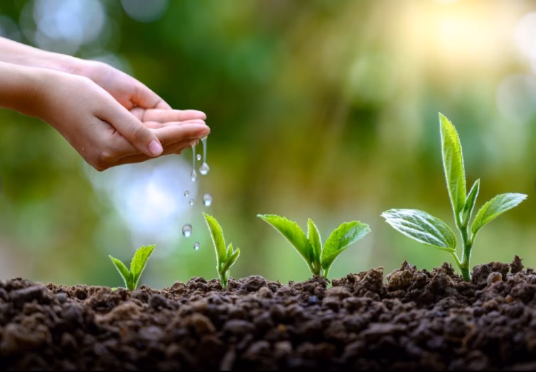 ¿Cuál es la diferencia entre ecología y ciencia ambiental?