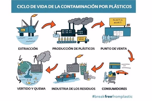 ¿Cuáles son los plásticos más dañinos para el medio ambiente?