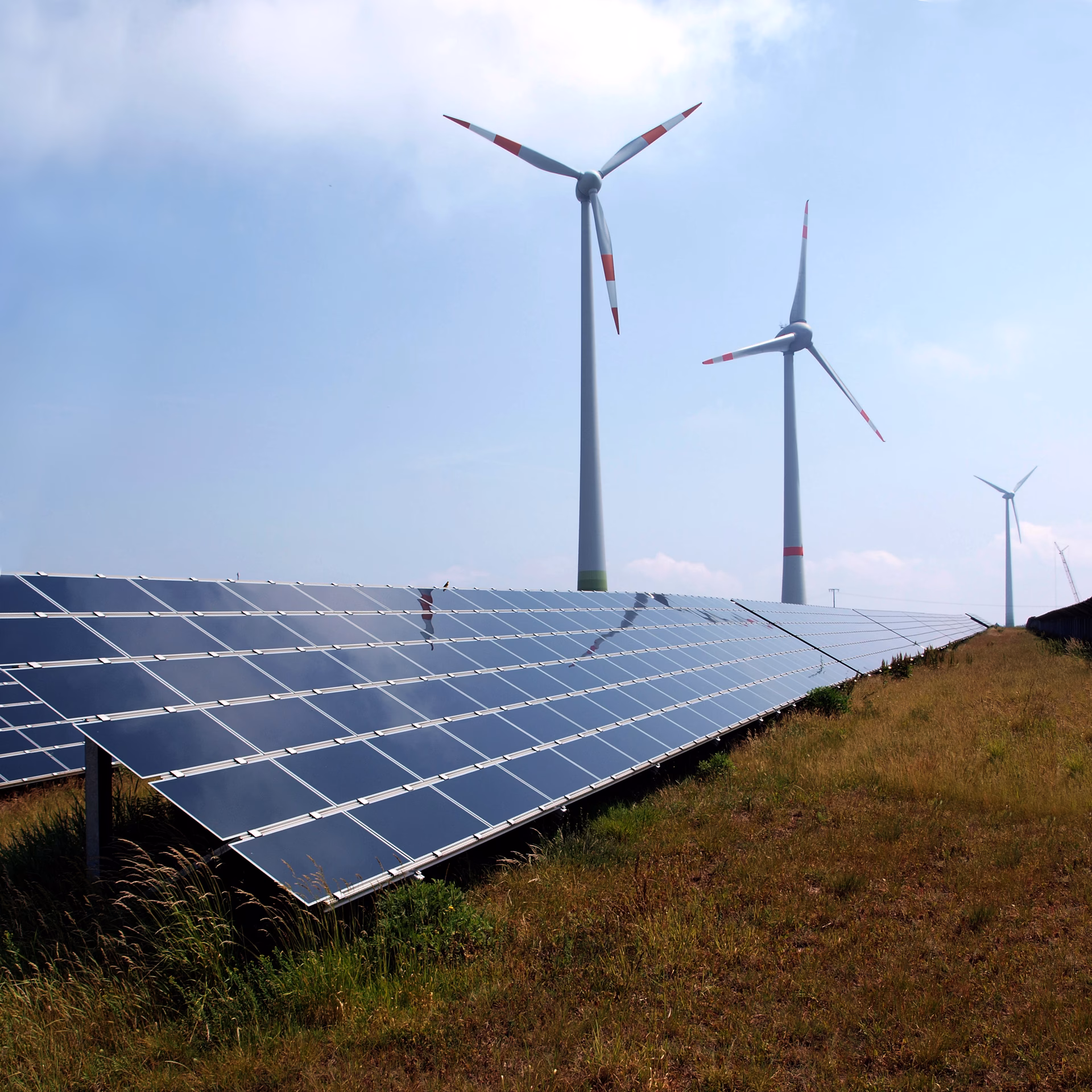 ¿Cuál es el potencial de México para el desarrollo de energías renovables?