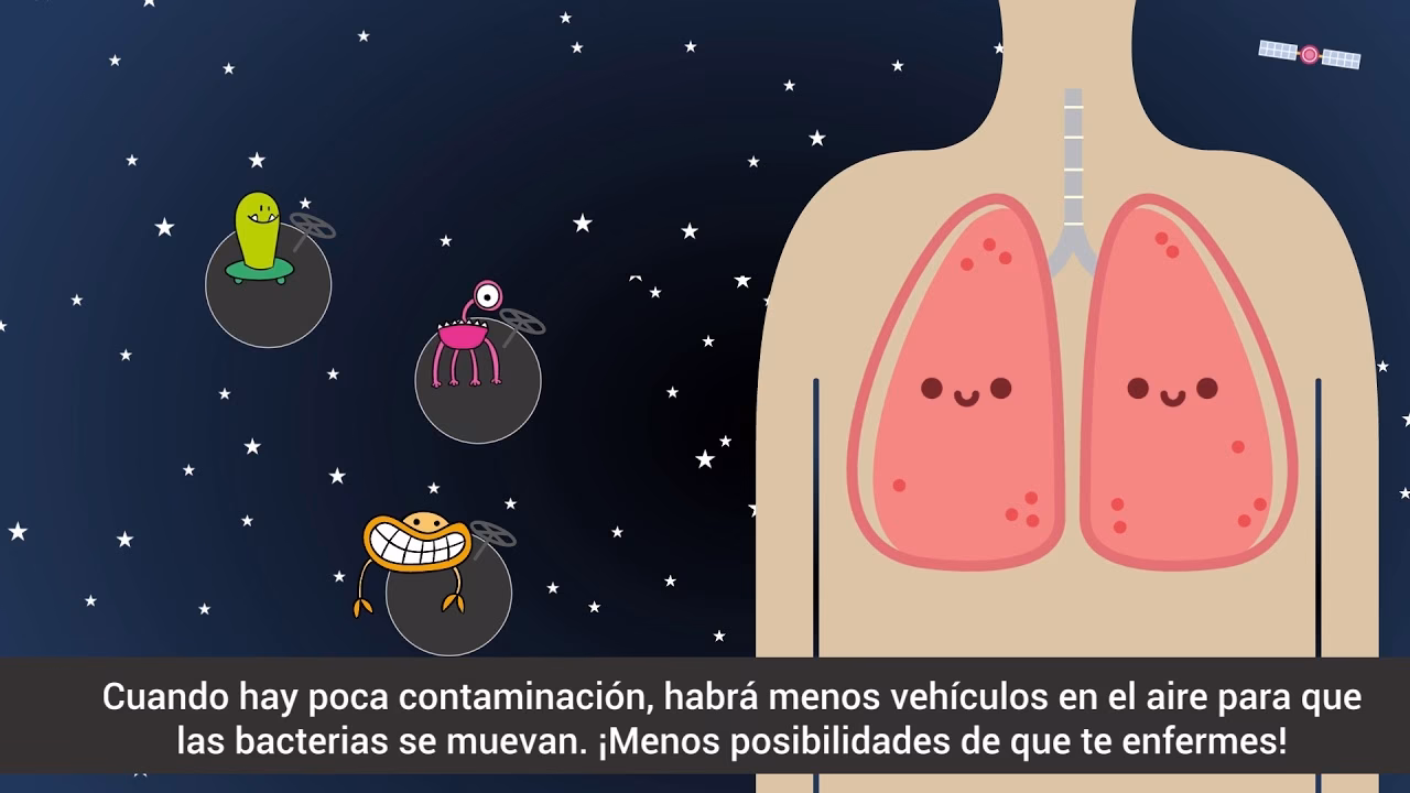 ¿Cuáles son los principales componentes de la contaminación del aire?