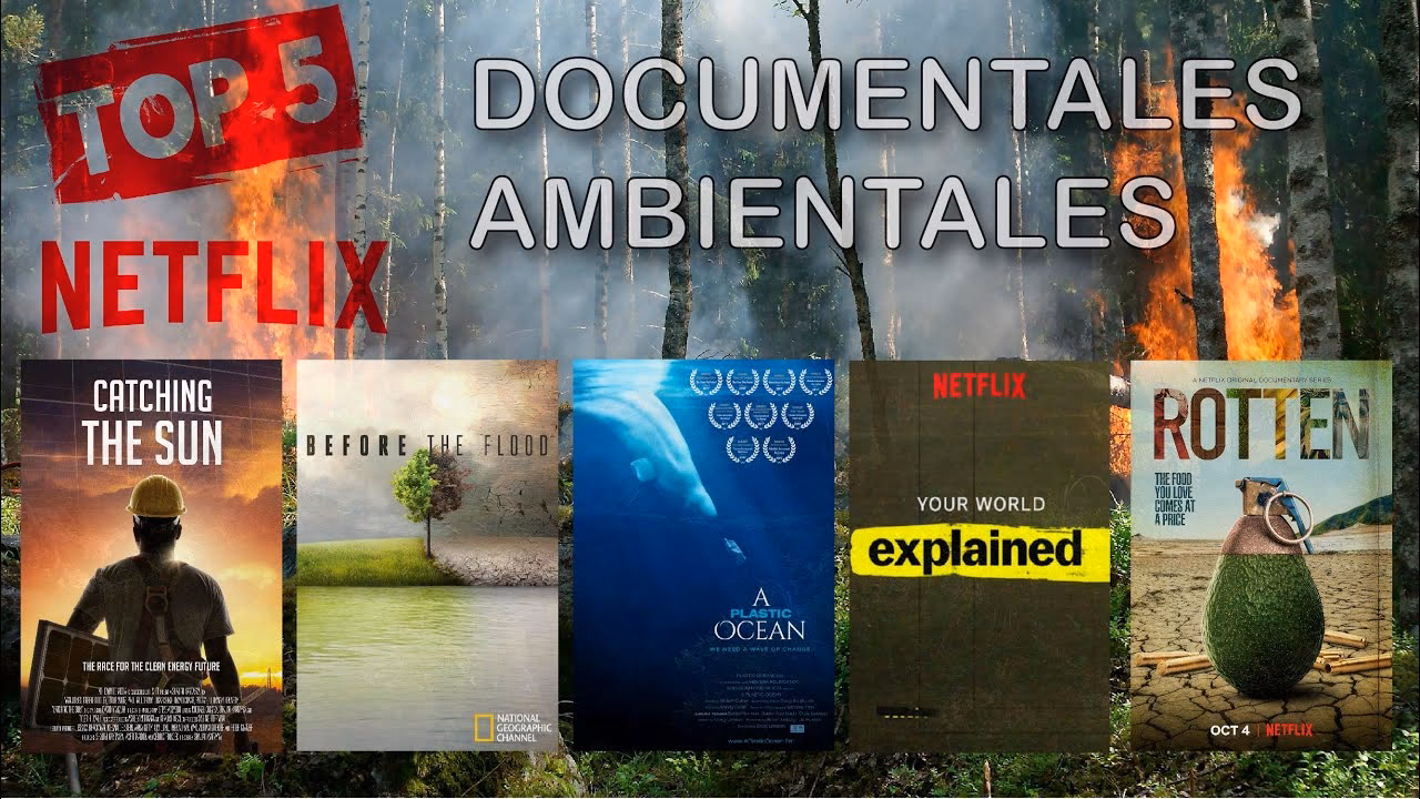 ¿Por qué Neflix es un éxito?