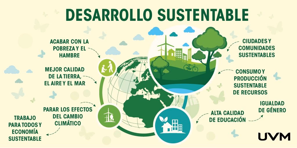 ¿Qué son las ciudades y comunidades sustentables?
