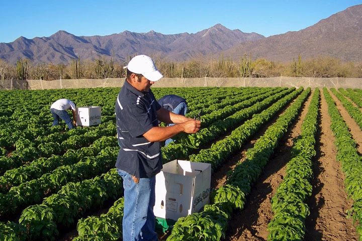 ¿Qué es el desarrollo sostenible?
