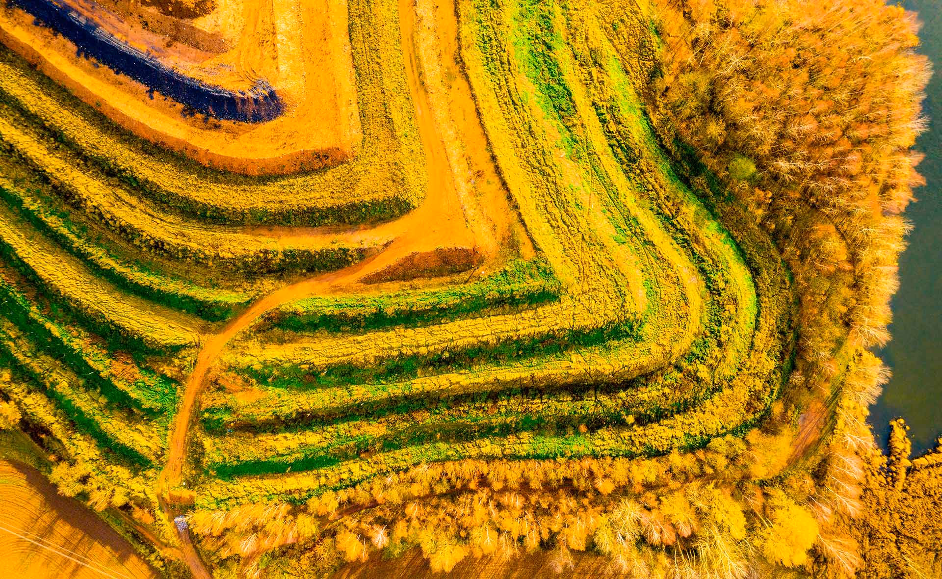 ¿Por qué es importante la sustentabilidad en minería?