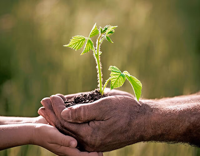 ¿Cómo contribuir al cuidado del Medio Ambiente?