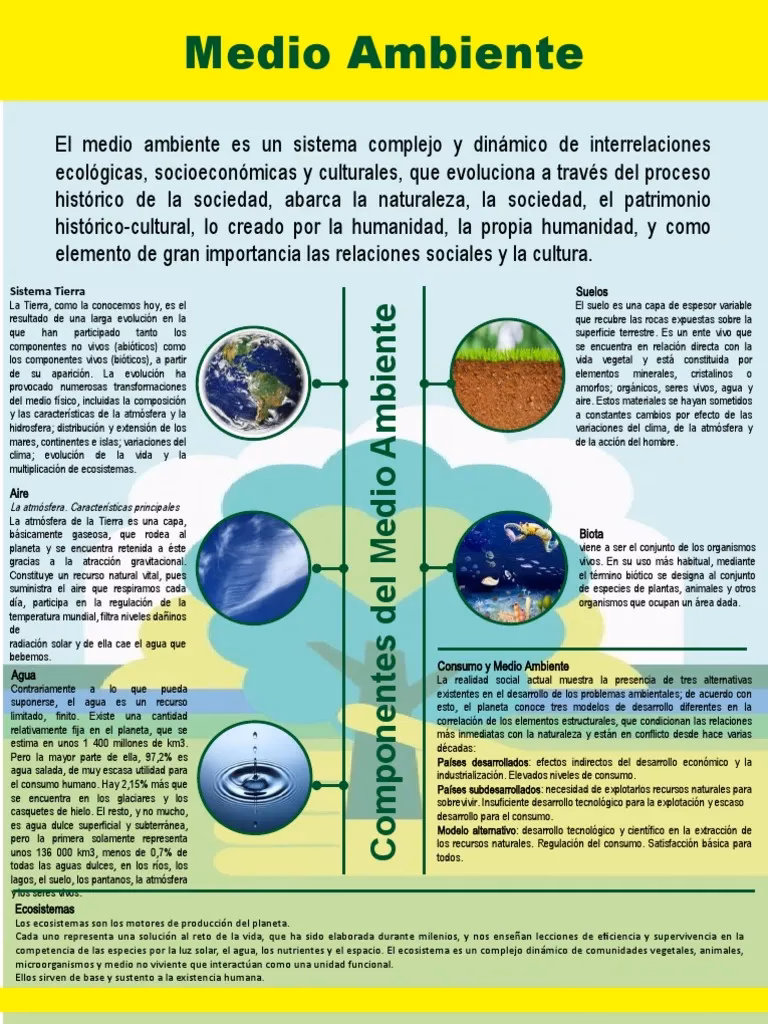 ¿Qué es el medio geográfico?