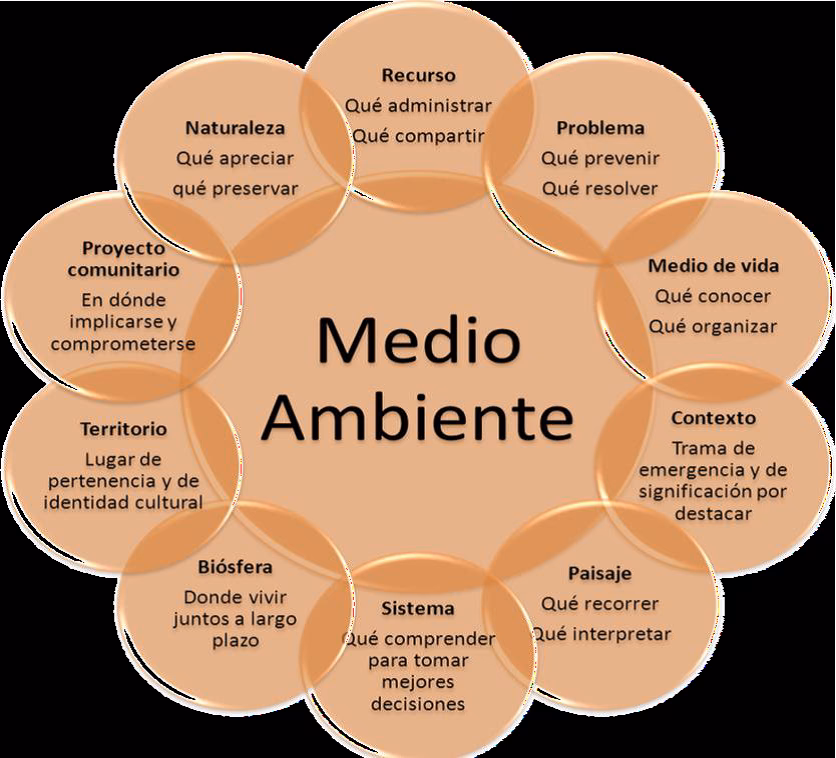 ¿Por qué es importante la percepción del Medio Ambiente?