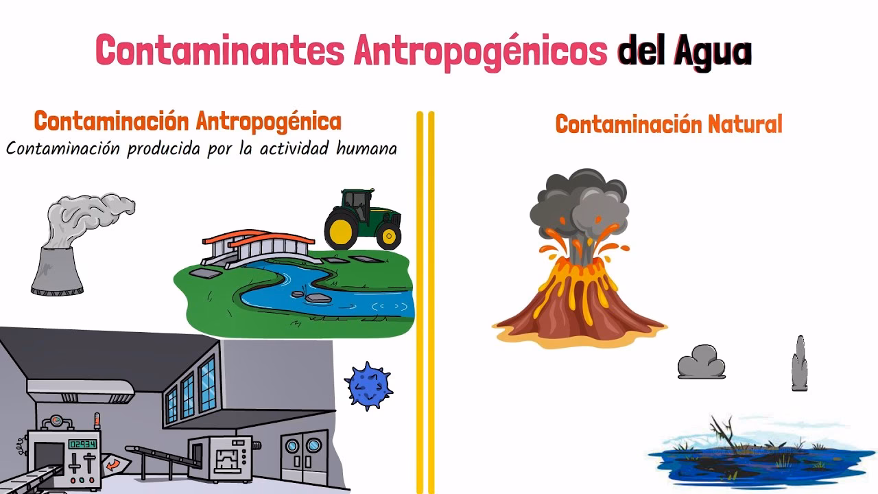 ¿Qué es el impacto antrópico?