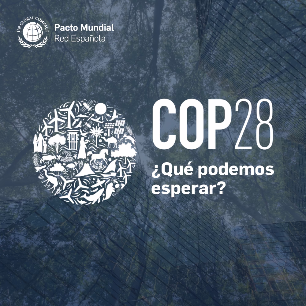 ¿Cuántos países participaron en la cumbre del clima?