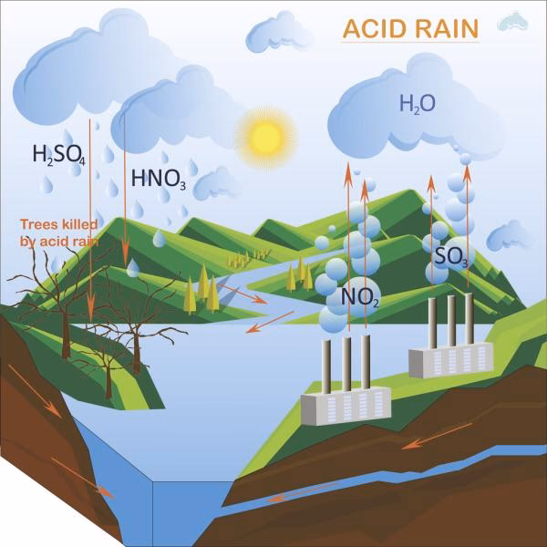 ¿Cómo afecta la lluvia ácida a los ecosistemas?