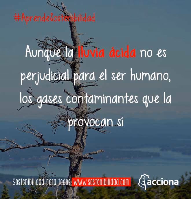 ¿Cómo afecta la lluvia ácida al patrimonio?
