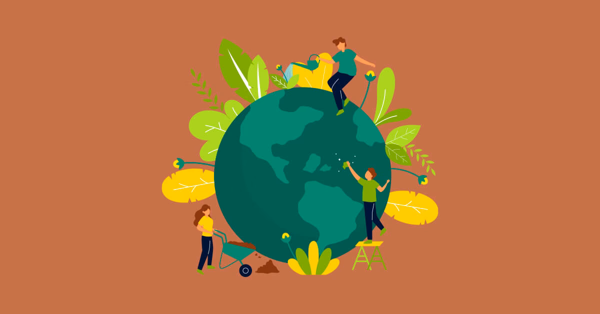 ¿Cuál es la importancia de las ONG?