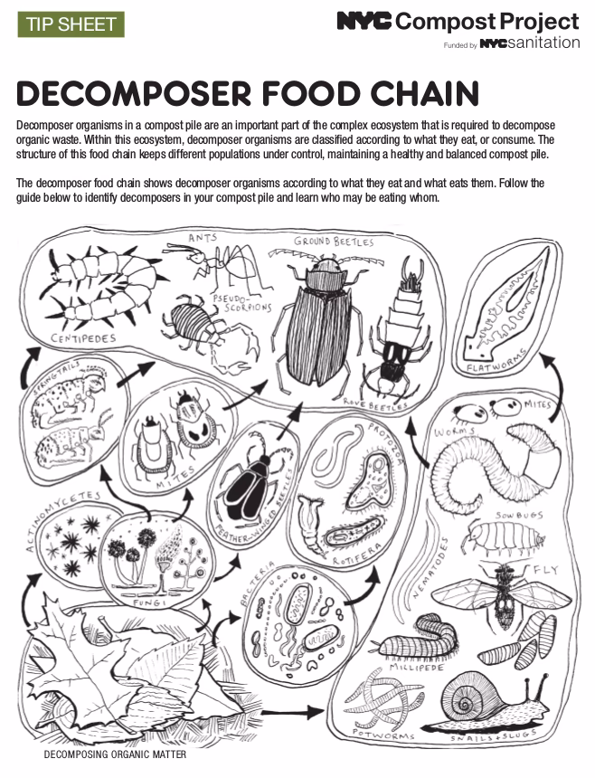 ¿Cuáles son los residuos orgánicos que se pueden utilizar en el compostaje?