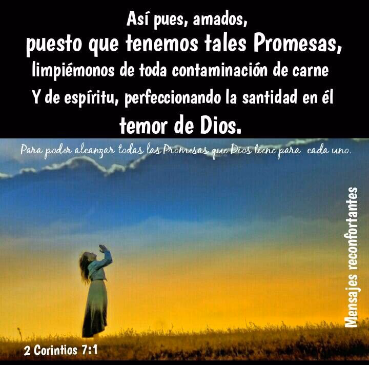 ¿Por qué debemos crucificar la carne cada día?