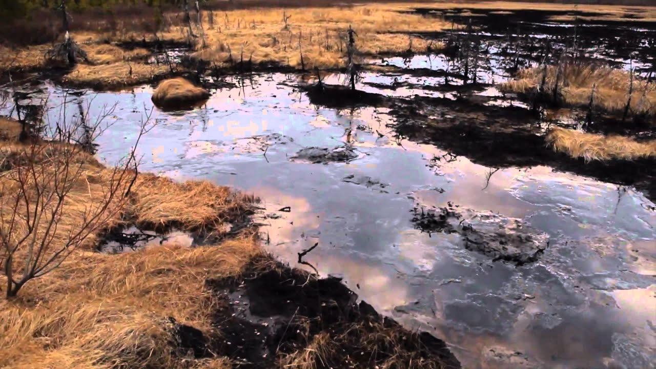 ¿Qué pasa con la basura en Rusia?