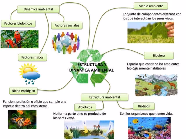¿Qué es un sistema dinámico?