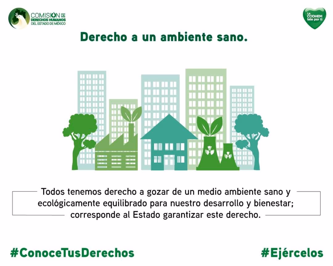 ¿Qué es un ecosistema equilibrado?