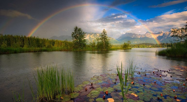 ¿Qué es un medio ambiente limpio, saludable y sostenible?