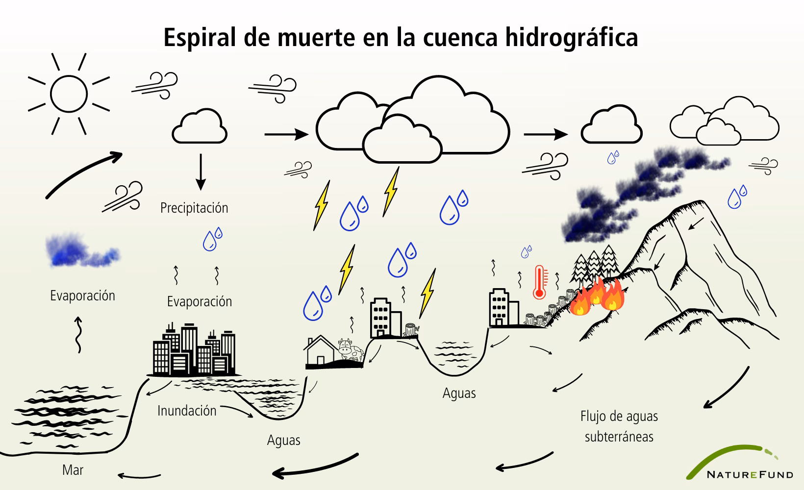 ¿Cuáles son las etapas del ciclo hidrológico?
