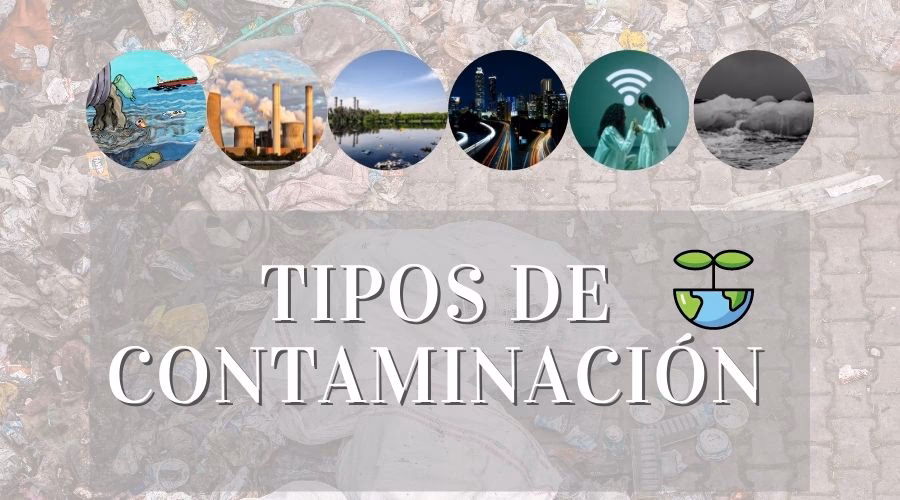 ¿Qué hacen los forenses para no contaminar las muestras?