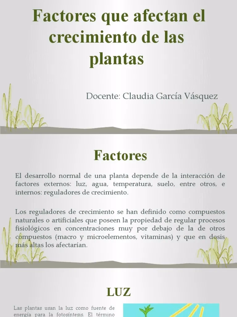 ¿Cómo afectan los factores ambientales a las plantas?