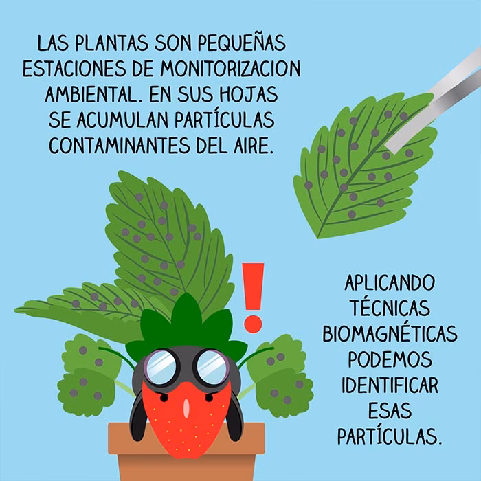 ¿Cómo se puede prevenir la contaminación de la flora?