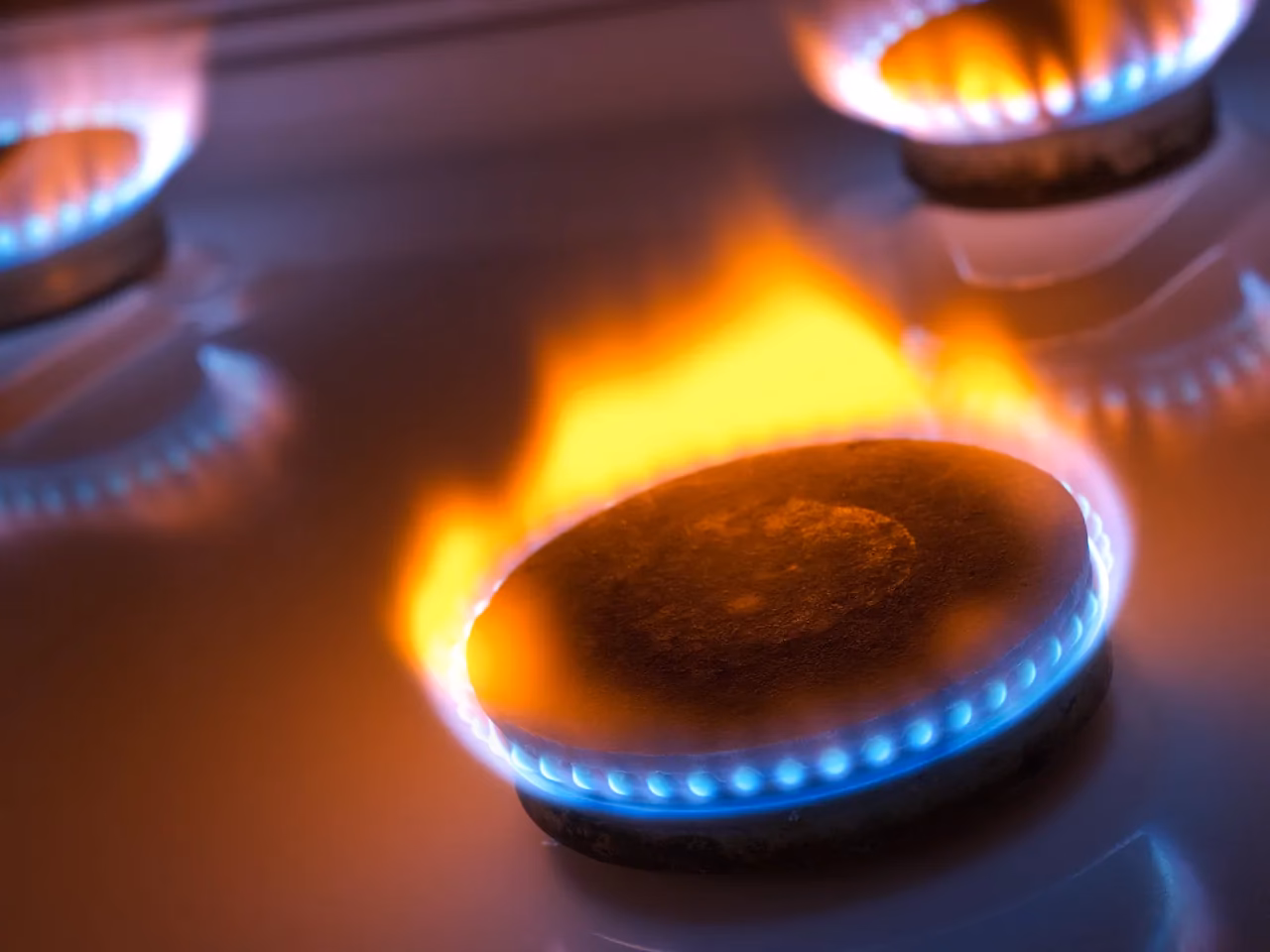 ¿Cuáles son los contaminantes más frecuentes?