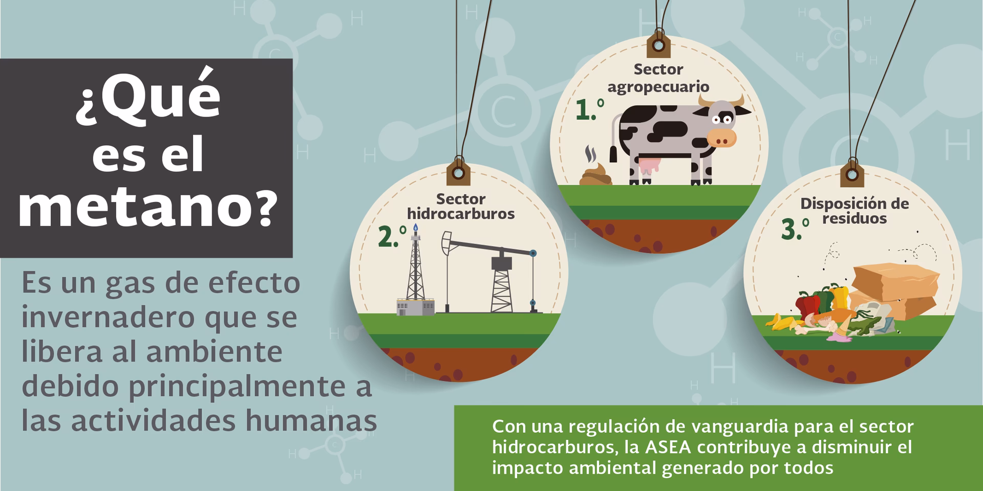 ¿Cuántas especies moleculares liberamos a la atmósfera?