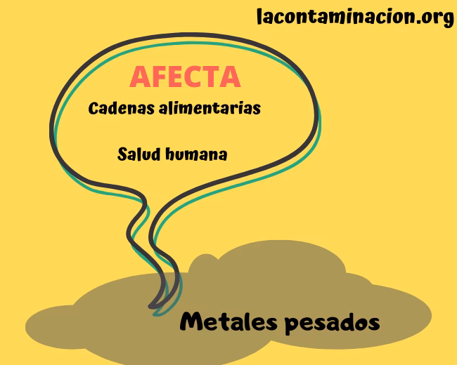 ¿Qué medidas se pueden tomar para prevenir la contaminación por metales pesados?