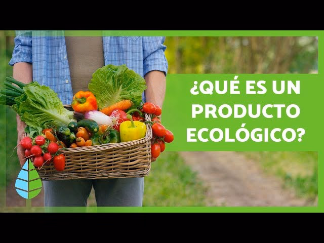 ¿Qué es un producto ecológico?