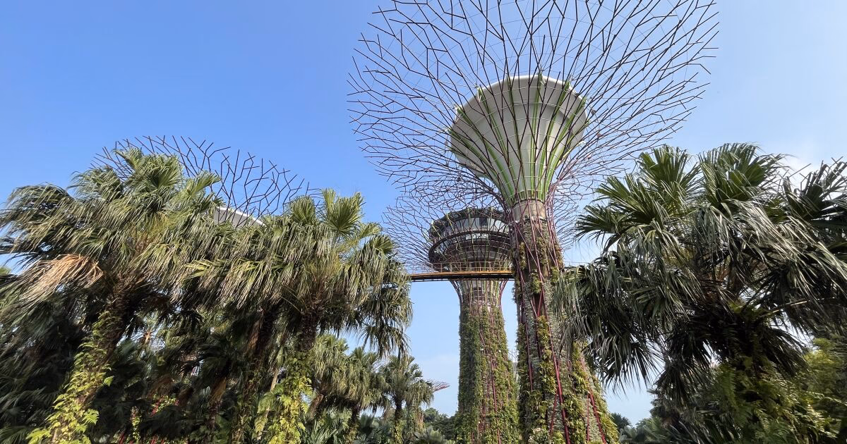 ¿Cuáles son los beneficios de Singapur para la sostenibilidad?