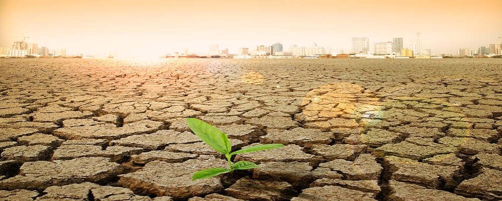 ¿Cómo se puede predecir el efecto del cambio climático?