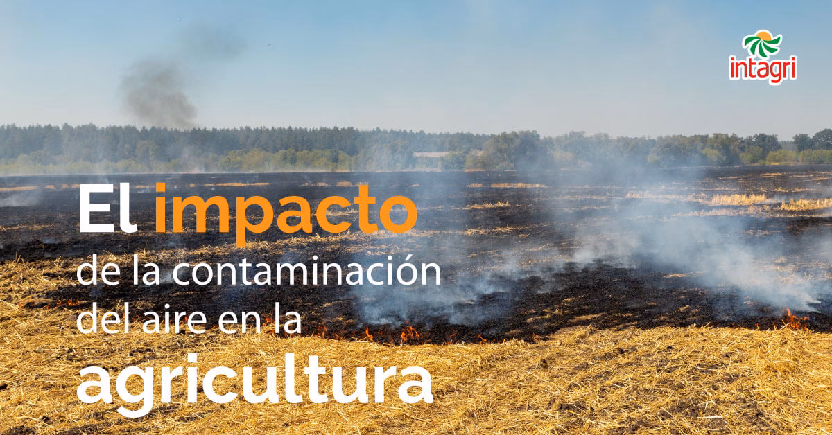¿Cuál es el impacto de la agricultura en el medio ambiente?