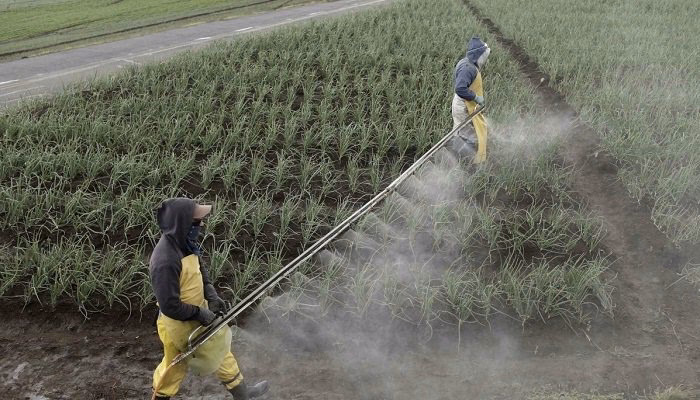 ¿Cómo afectan las actividades agrícolas al medio ambiente?