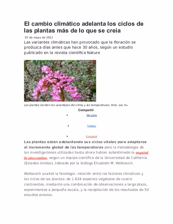 ¿Cuál es la capacidad de los árboles urbanos para mitigar el calentamiento global?