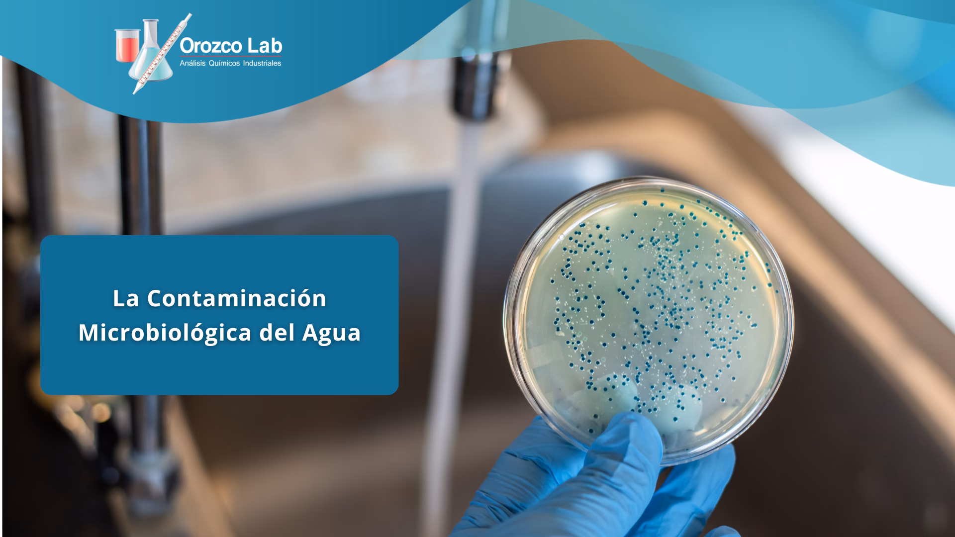 ¿Cuáles son las causas de la contaminación del agua?
