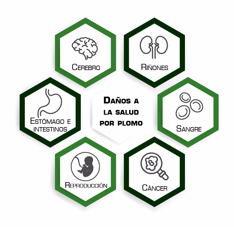 ¿Cuáles son los efectos del plomo?