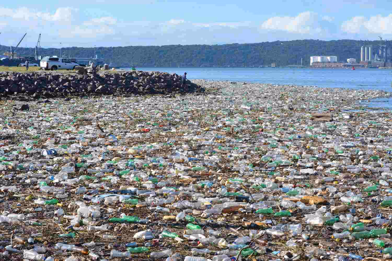 ¿Cómo afecta la contaminación por plásticos al océano?