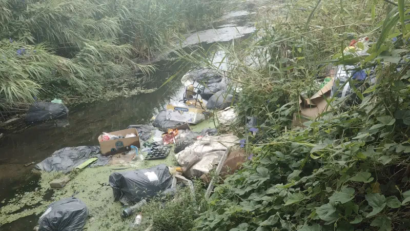 ¿Cómo contamina la isla de San Andrés?