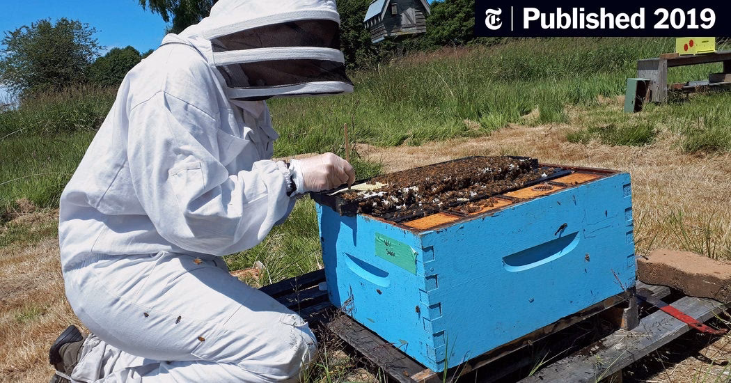 ¿Cómo afecta la miel a los microorganismos?