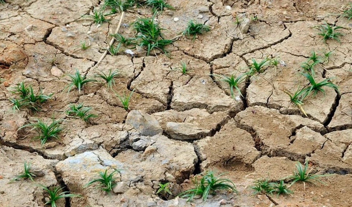 ¿Cómo será el futuro de la energía en Argelia?