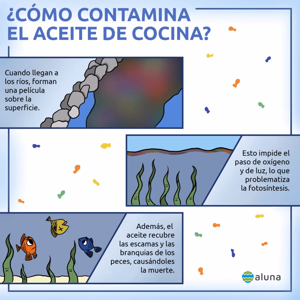 ¿Cuál es el aceite menos amigable con el medio ambiente?