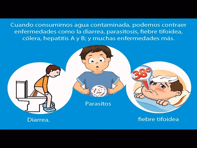 ¿Cómo prevenir la contaminación del agua?