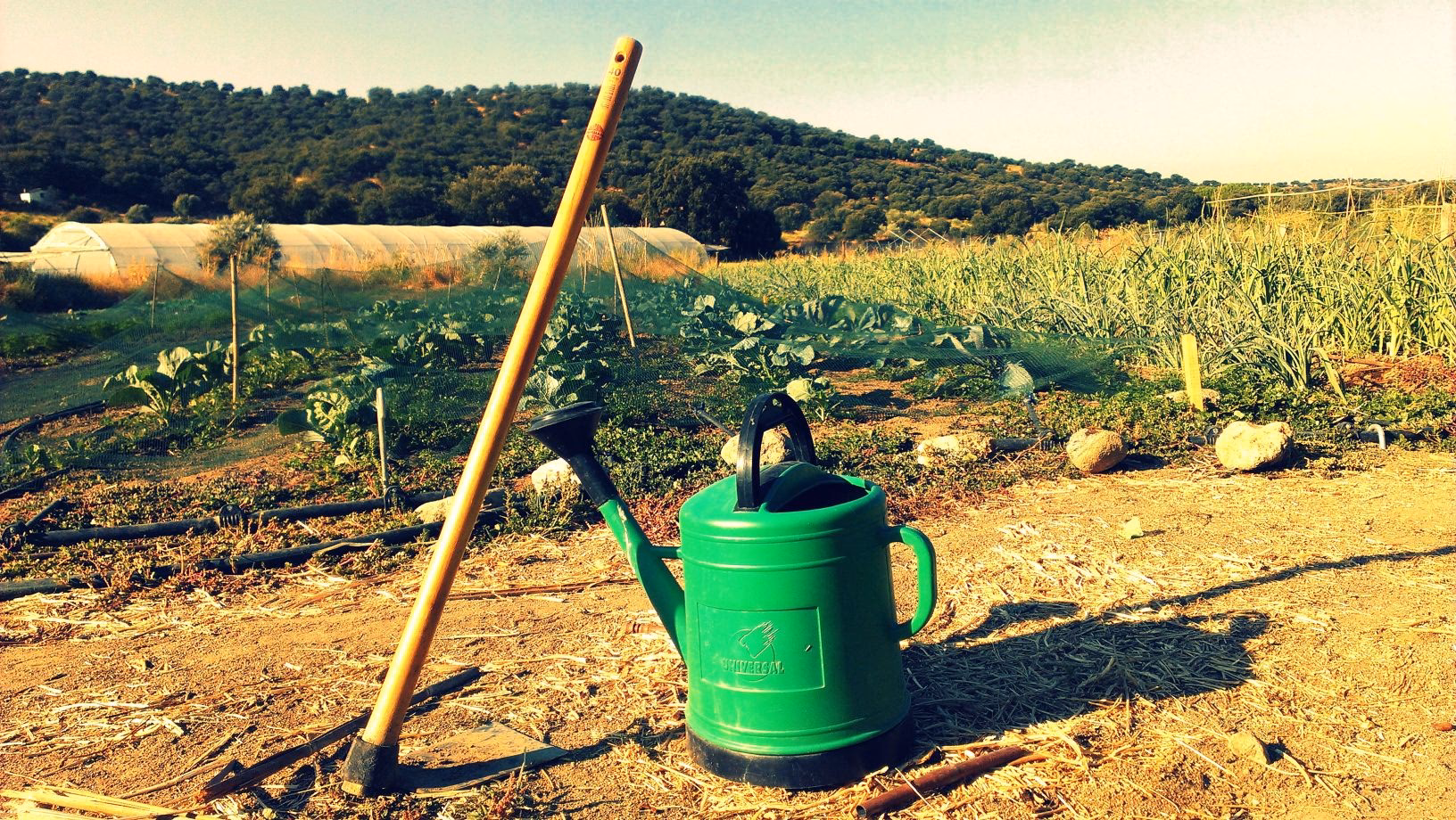 ¿Cuáles son los principios fundamentales de la agricultura agroecológica?