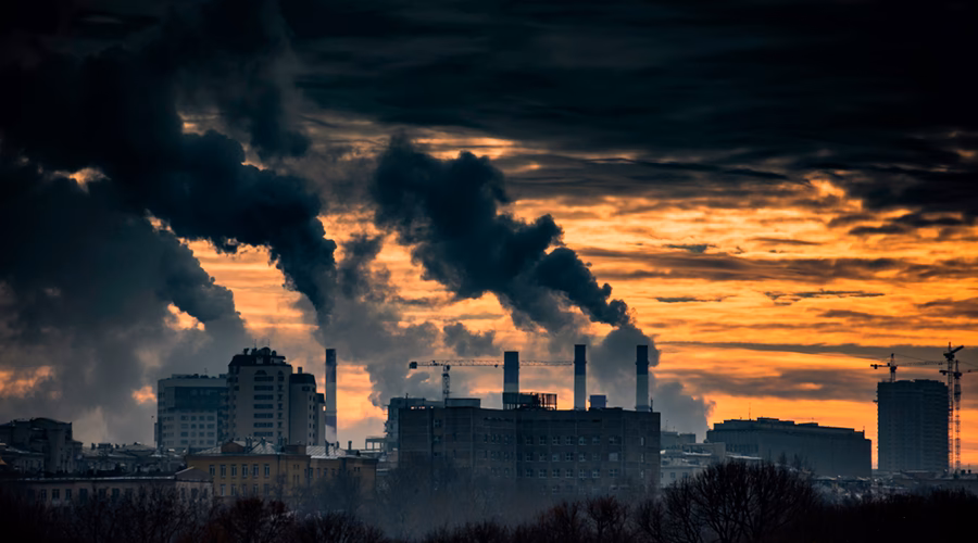 ¿Cómo afectará el cambio climático a la industria forestal?