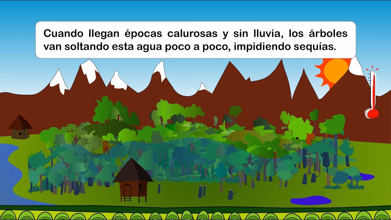 ¿Cuál es la importancia de los bosques para el cambio climático?